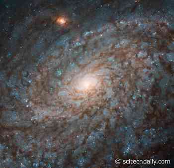 OwO What’s This? Astronomers Study Galactic Bulge for Clues to Black Hole Mystery