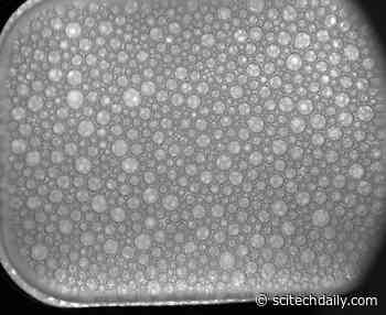 Space Foam Formed Inside Fluid Science Laboratory on the International Space Station