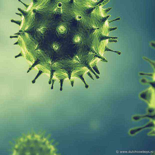 Hier zoeken Nederlanders op in relatie tot het coronavirus