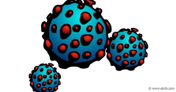 Live coronavirus updates for Friday, March 20: Health officials issue strong advice for isolating within your home — including no contact with pets