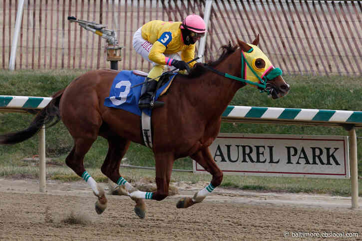 Coronavirus Closings: Live Racing Paused At Laurel Park, Rosecroft Raceway