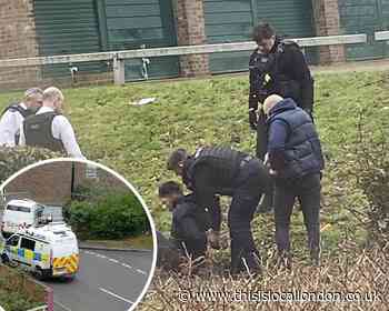 Man arrested in Belvedere drug bust