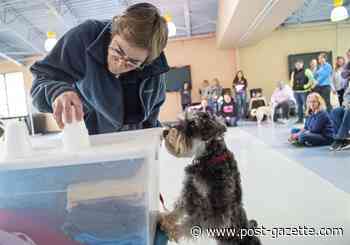 Suzanne Clothier makes training fun for dogs and people