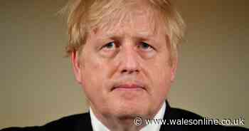 Government tells pubs, restaurants and gyms to close