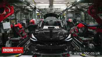 Coronavirus: Elon Musk's US Tesla factory suspends production