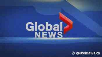 Global News at Noon Edmonton: March 20