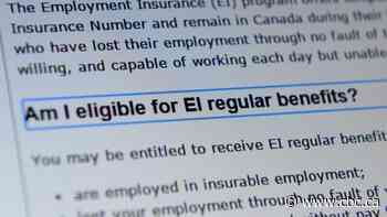 Federal government flooded with 500,000 applications for employment insurance