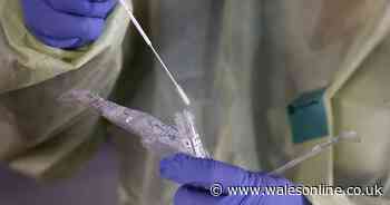 Over 700 new cases of coronavirus recorded in UK with total deaths reaching 177