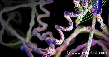 Thousands of These Computers Were Mining Cryptocurrency. Now They're Working on Coronavirus Research - CoinDesk - CoinDesk