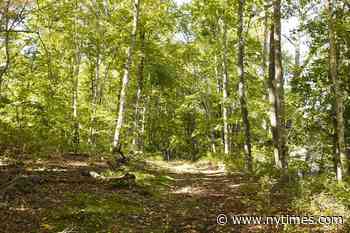 One Of 8 Lots To Build Your Dream Home, Deep River, CT - Home for sale - The New York Times