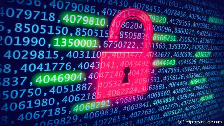 Major data breach exposes database of 200 million users