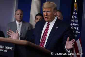 Trump&#39;s big promises on COVID-19 often fall short