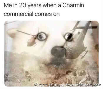 Me In 20 Years When A Charmin Commercial Comes On – Meme