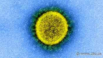 Sask. NDP wants all non-essential Crown employees working from home