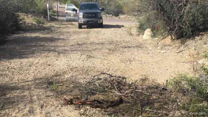 Reward offered after deer remains found near El Camino Del Cerro Trailhead