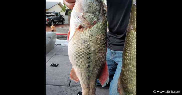 Anglers charged with felonies for allegedly cheating at Lake Powell fishing tournament