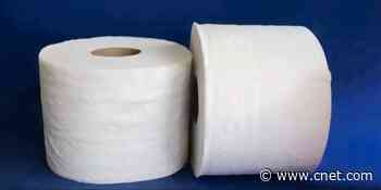 Handy Coronavirus Toilet Paper Calculator helps you measure your supply     - CNET