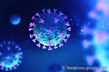 What the Coronavirus Does to the Body