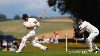 Coronavirus: ECB recommends all recreation cricket is suspended indefinitely