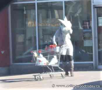 Video of Orillia woman shopping in dragon mask catches fire - CollingwoodToday