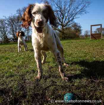 Husband donates Lancashire Police dogs in wife's memory