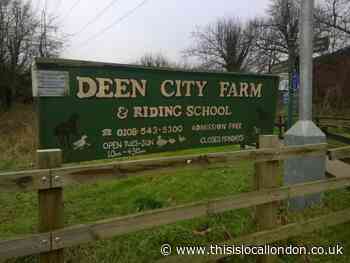 Deen City Farm faces threat of permanent closure due to coronavirus