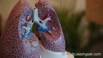 What is a ventilator: The in-demand coronavirus tech
