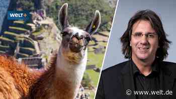 Reisewarnung! Wie meine Stornierung zum Horror-Trip wurde