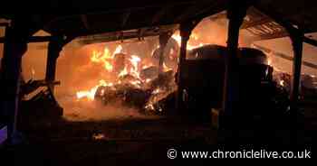 Dramatic picture shows barn engulfed by flames after hay set on fire