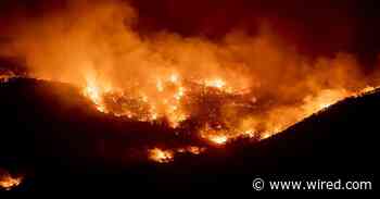 Fallout from Australia’s Huge Wildfires Is Choking Rivers