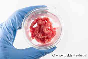 Wat ligt er in 2050 op ons bord: insecten, erwtenworst of toch kweekvlees?