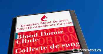 Not self-isolating? Donate blood instead, P.E.I. chief public health officer says