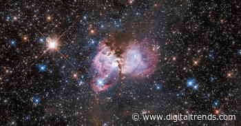 See massive stars being born in a corner of the Tarantula Nebula