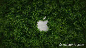 Apple confirms gadgets still left for fix at retail merchants can not be picked up because of to COVID-19 - Mash Viral