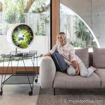 These never-seen-before smart gadgets will amaze you - Gadget Flow