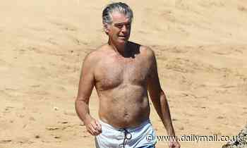 Pierce Brosnan, 66,  and wife Keely Shaye Smith frolic on Hawaiian beach in swimsuits