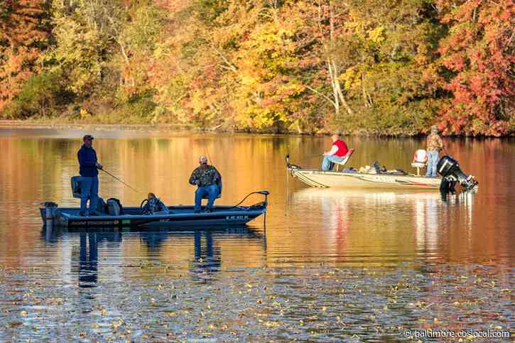 Coronavirus Closings: All Public Camping On Maryland State Forests Closed