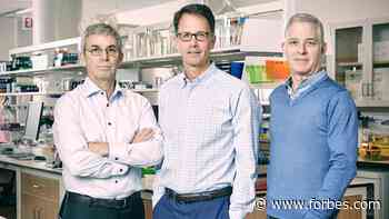 Meet The Billionaire Medical Family Supplying The Coronavirus Front Line - Forbes