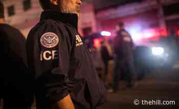 Over 3,000 medical professionals urge ICE to release detainees amid coronavirus pandemic | TheHill - The Hill