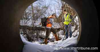 Finding alternatives to road salt as water contamination grows