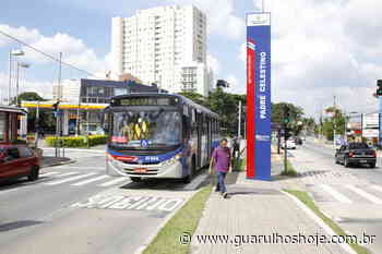 Covid-19: EMTU determina às empresas intensificação na higienização dos ônibus - Guarulhos Hoje
