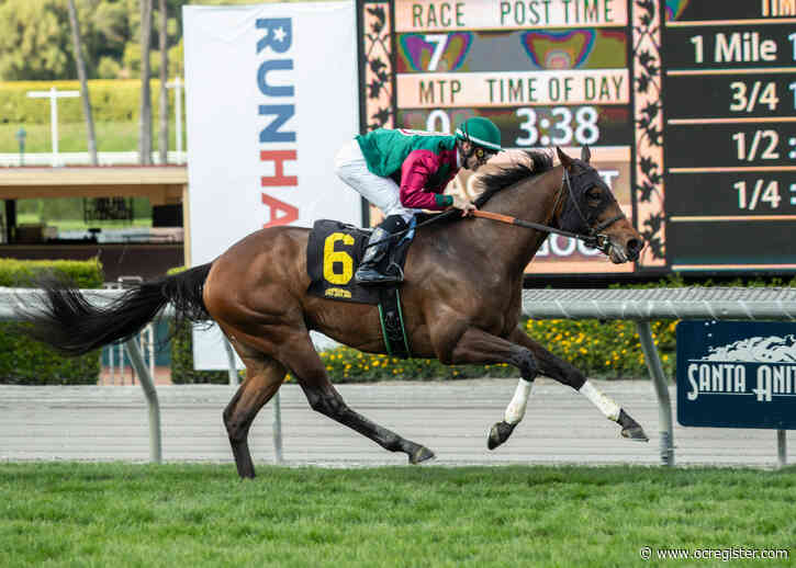 Ward ‘n Jerry a runaway winner at San Luis Rey Stakes at Santa Anita