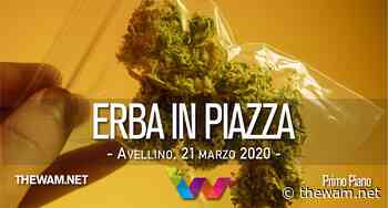 Spaccia erba in piazza. Denunciato 20enne, sequestrata marijuana - The Wam.net