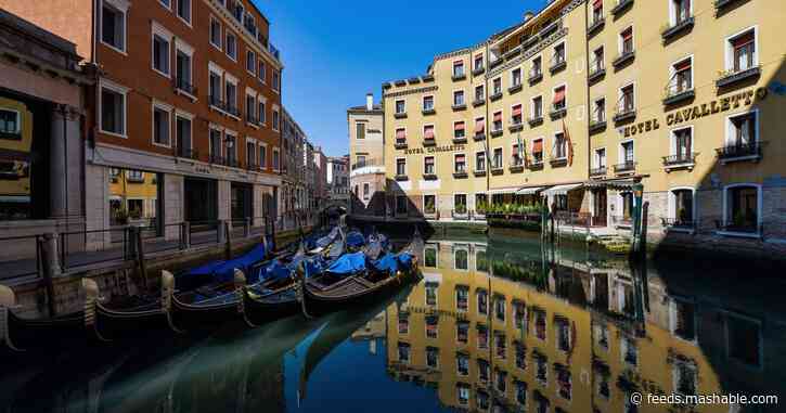 Dolphins in the Venice canals? Nope, that didn't happen.