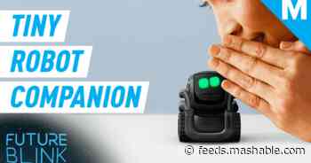 This tiny home robot will keep you company while you self-isolate — Future Blink