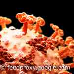 As expected, Taiwan exports fell in February, but at a far slower pace