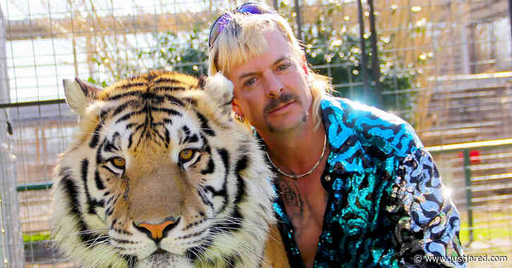 'Tiger King': Here's a 2020 Update on Joe Exotic & Carole Baskin