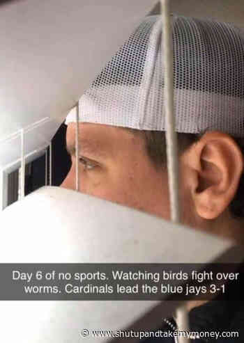 Day 6 Of No Sports Corona Virus Meme