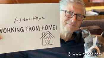 In Praise Of Bill Gates: Entrepreneur, Normal Guy, Potential Savior Of The World. - Forbes