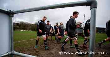 The devastating effect on Welsh rugby clubs fighting for their very futures